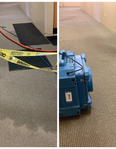 Drying a clean carpet